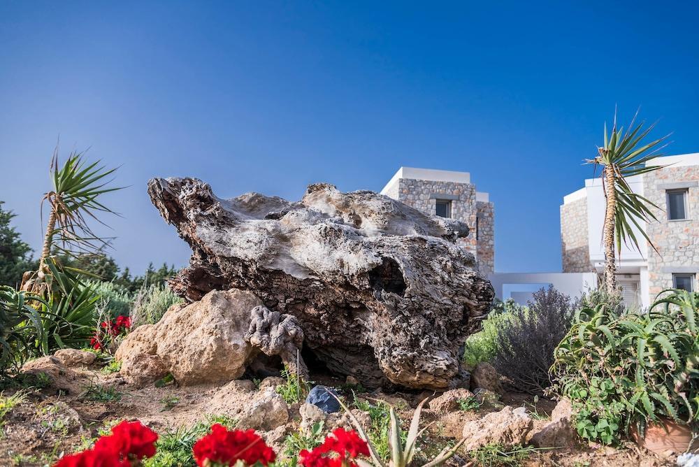 Cedar Bay Beachside Villas باليوخورا المظهر الخارجي الصورة