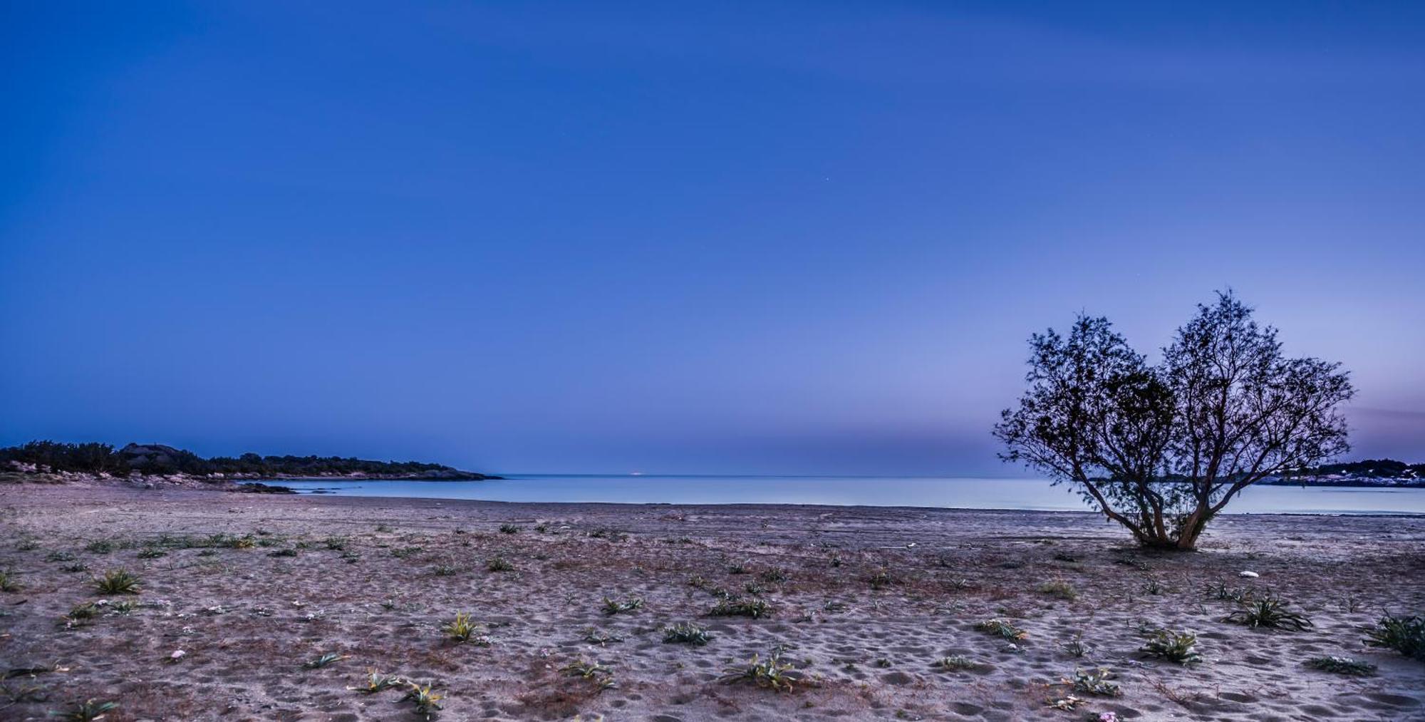 Cedar Bay Beachside Villas باليوخورا المظهر الخارجي الصورة